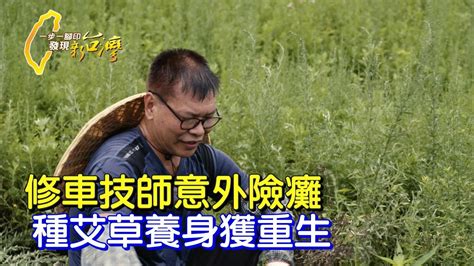 艾草達人莊垣昌|用心堅持不怕難!修車師脊椎傷後鑽研艾草 重拾健康自信 